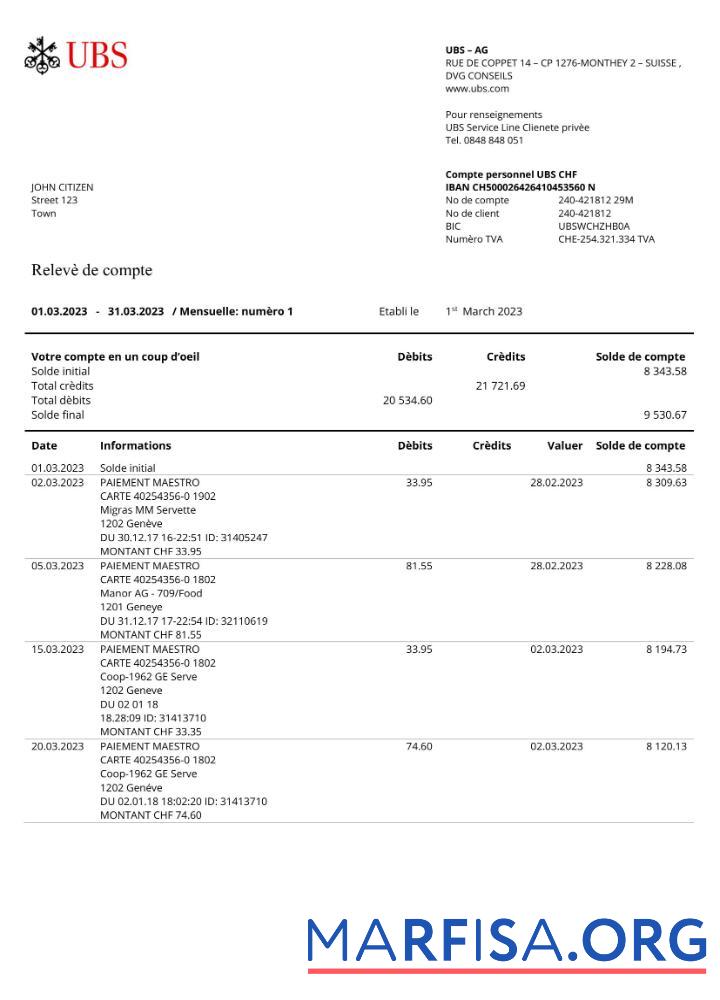 Blank France UBS bank statement word example
